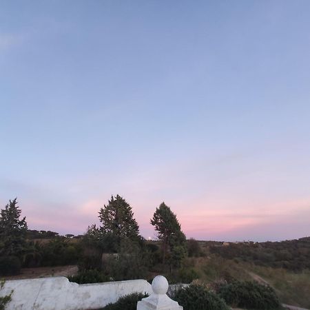 Апартаменты Dehesa El Aguila Puebla de la Reina Экстерьер фото